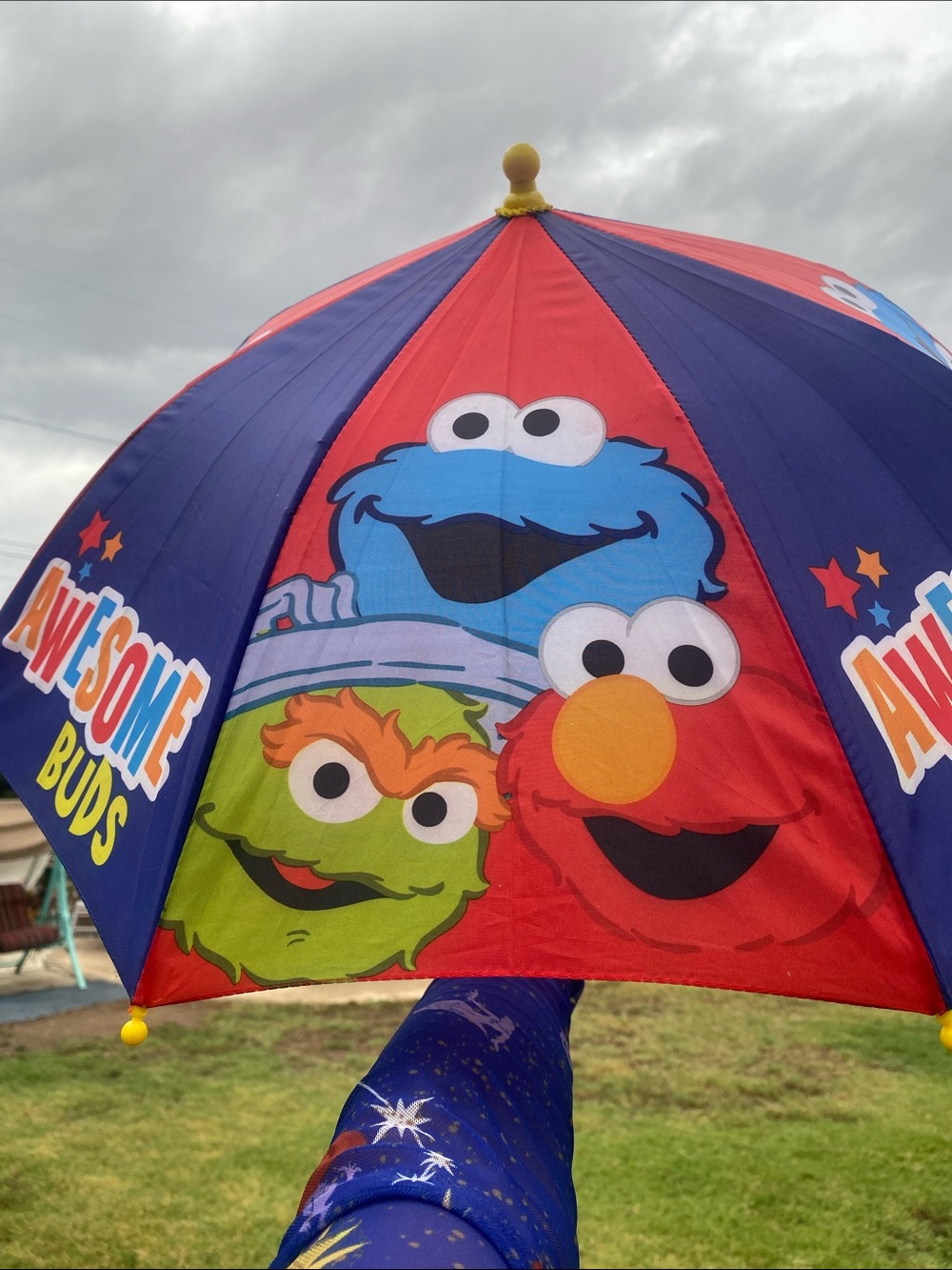 Sesame Street Kids Rain Umbrella - Blue, Red, Yellow, Green